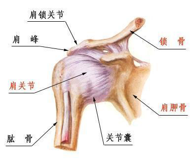 肩周炎的症状及如何改善